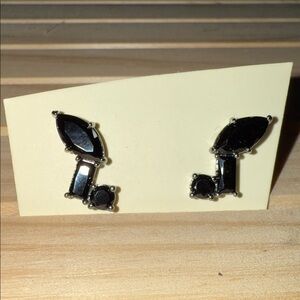 Elegant Black Gemstone Earrings